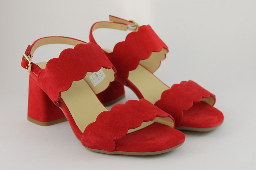 'Francina' in Red