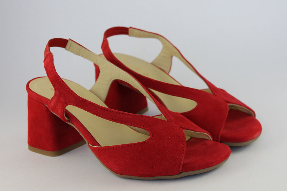 'Savannah' in Red