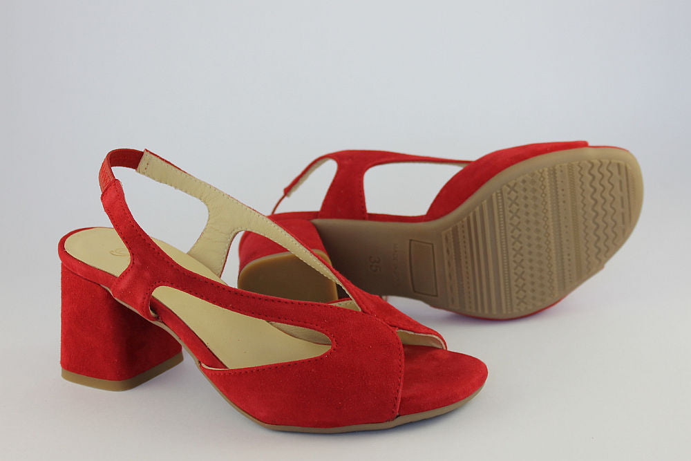 'Savannah' in Red