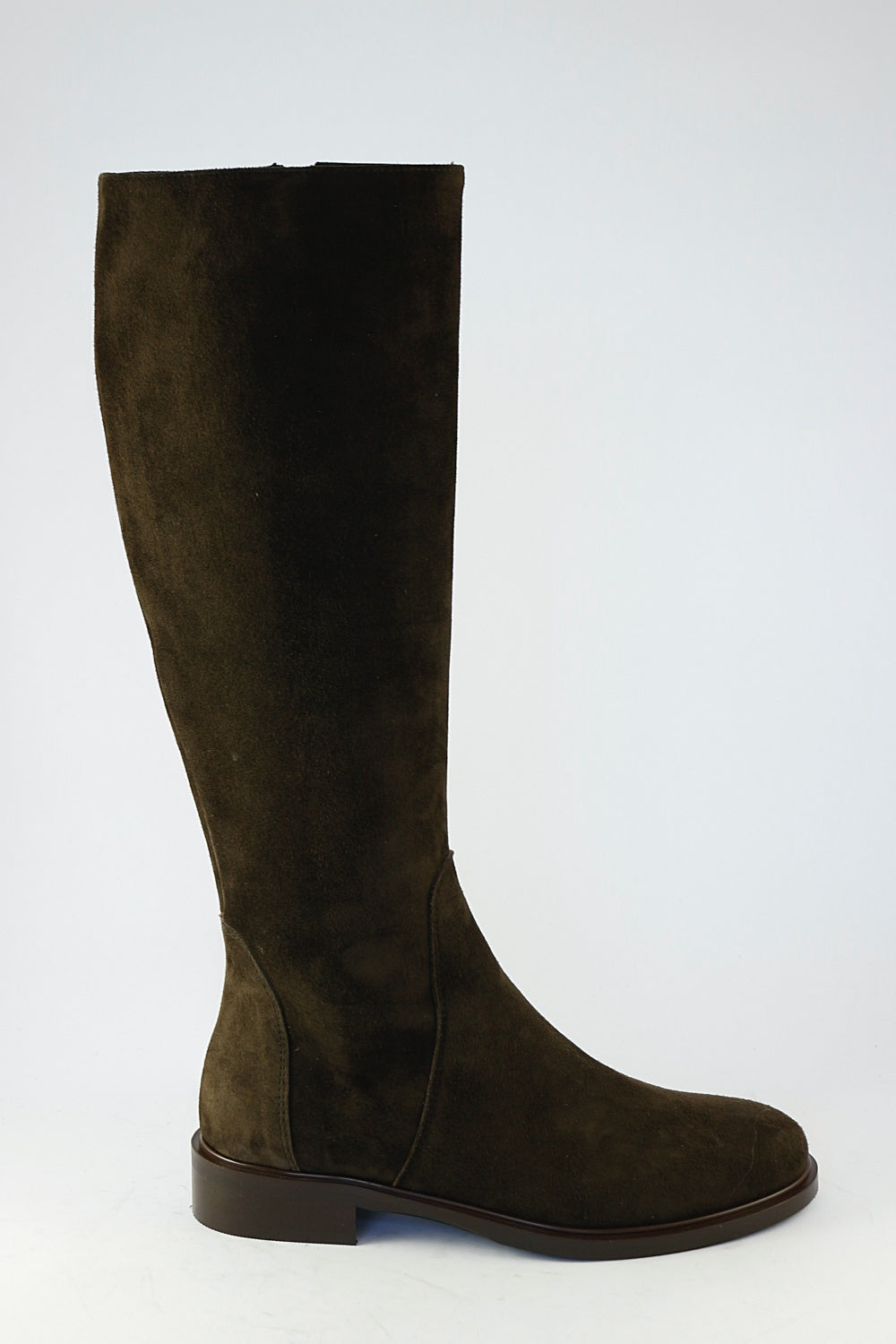 'Stella' in Chocolate