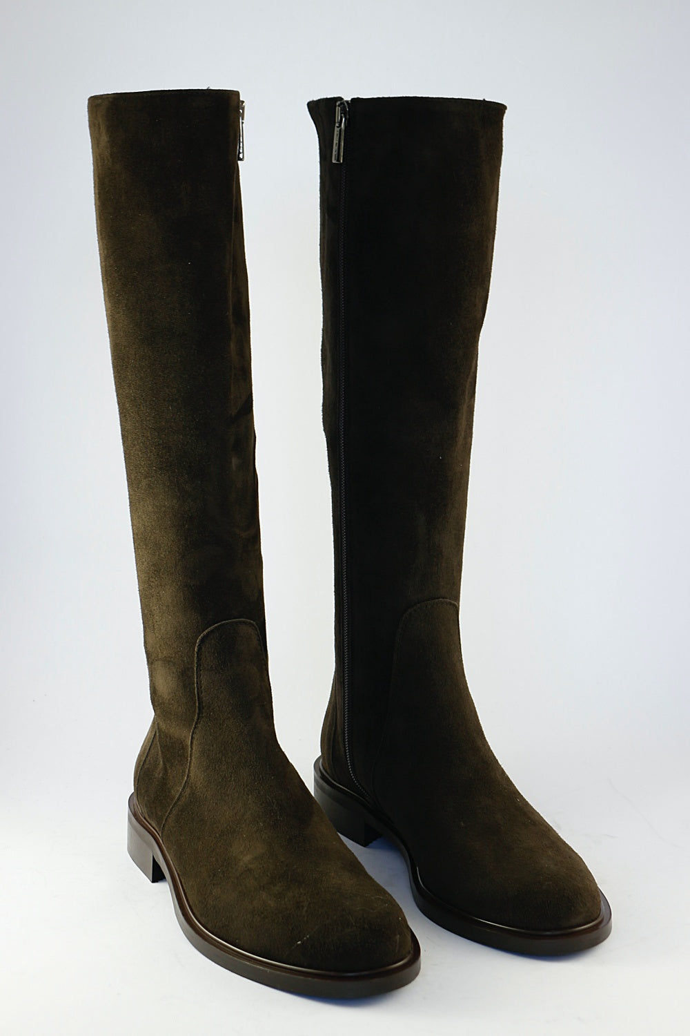 'Stella' in Chocolate