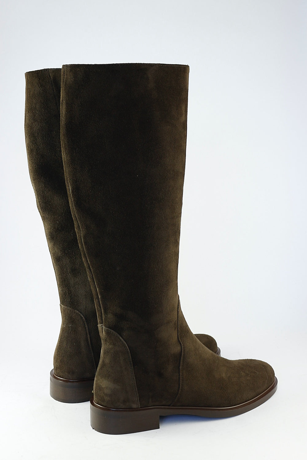 'Stella' in Chocolate