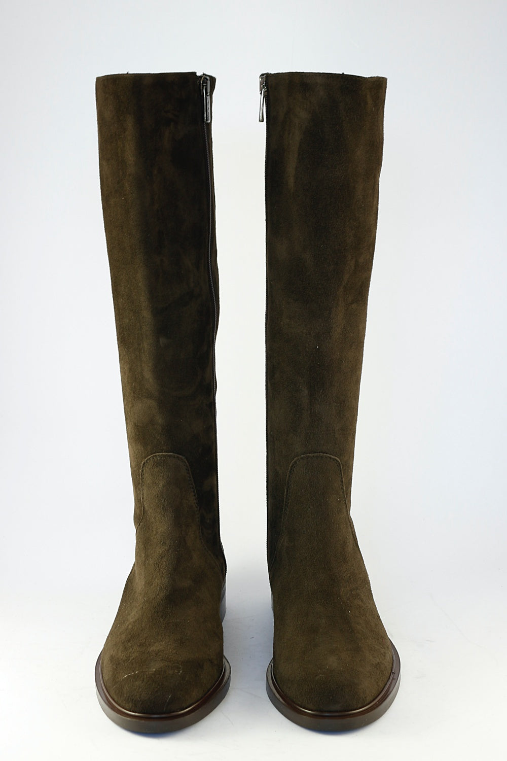 'Stella' in Chocolate