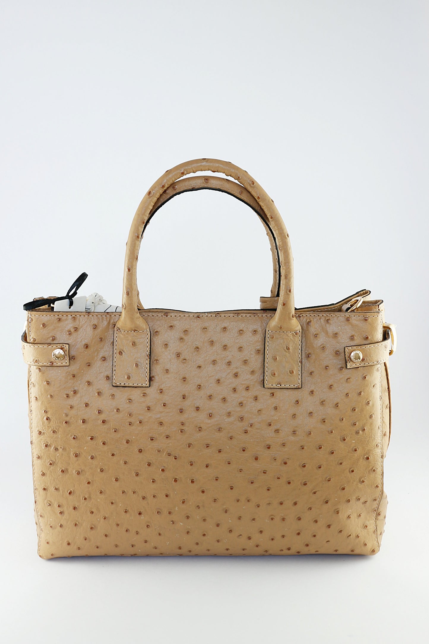 'Lucia' in Camel