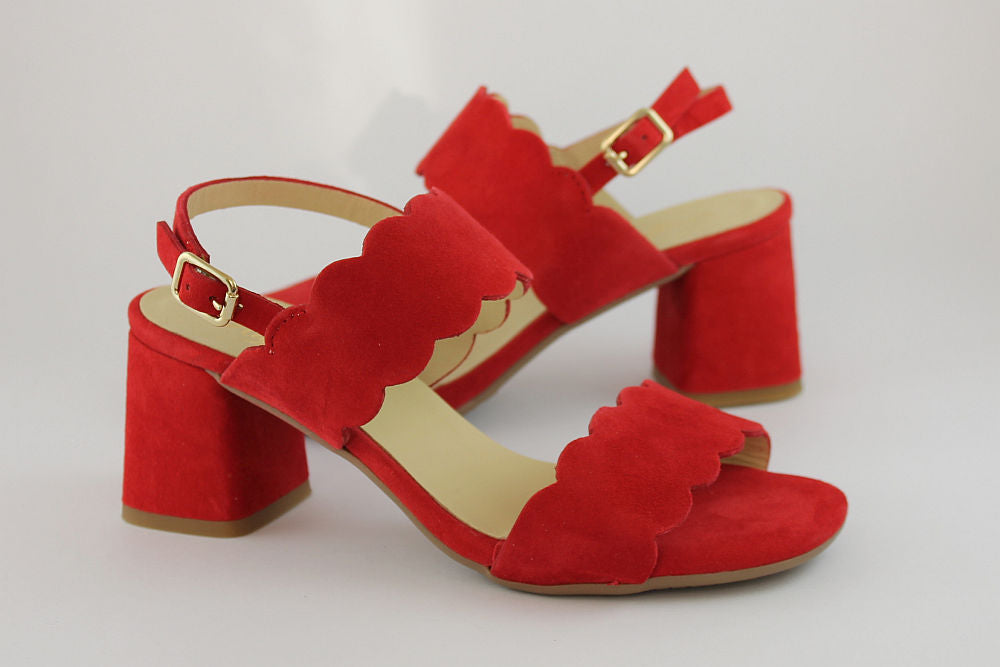 'Francina' in Red