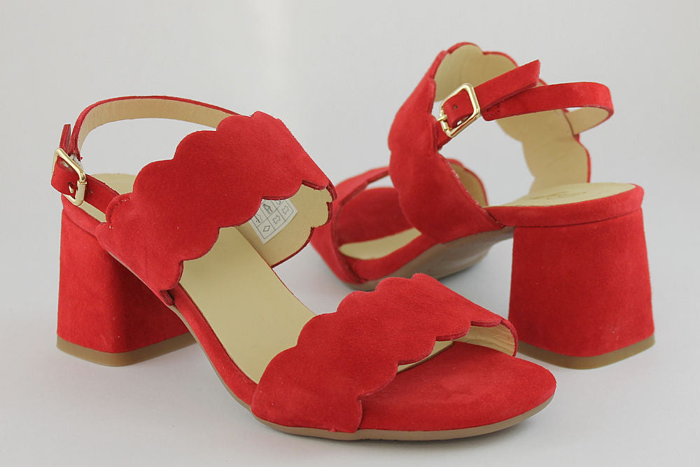 'Francina' in Red