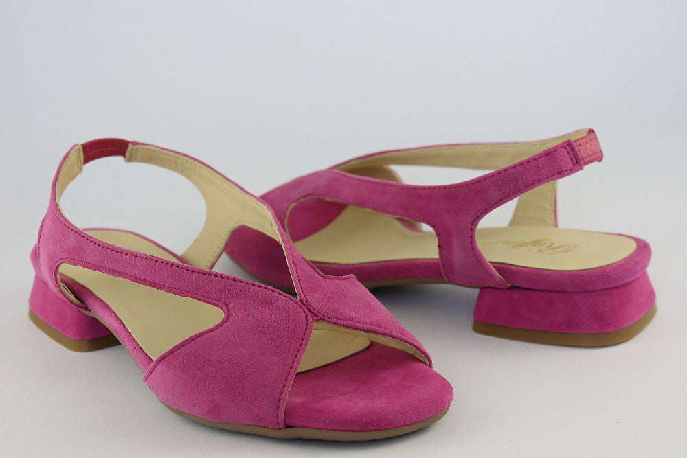 'Cristina' in Pink