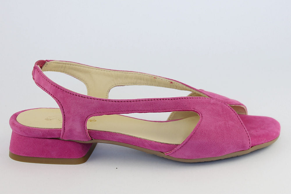 'Cristina' in Pink