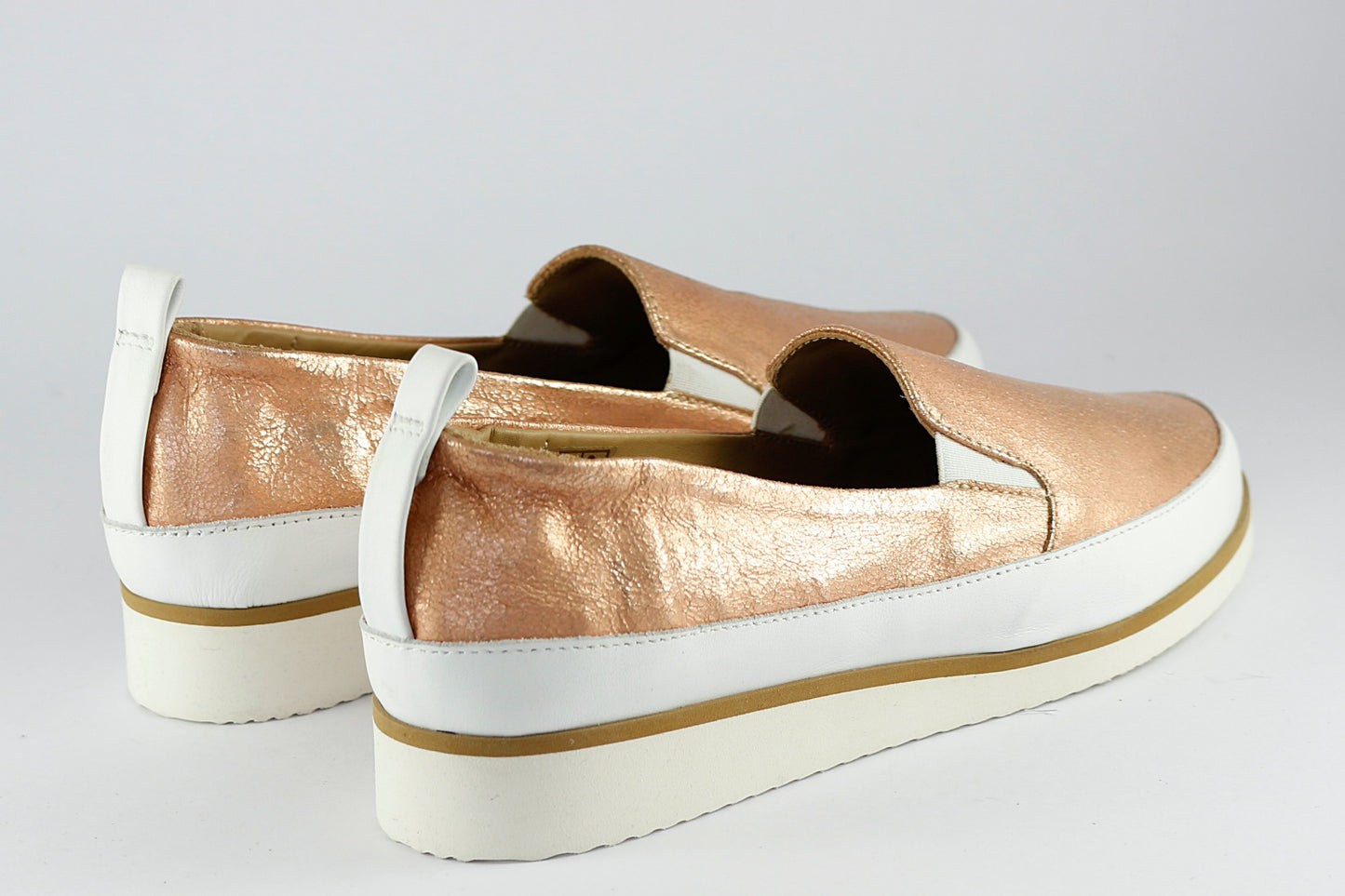 'Roma' in Champagne Rose