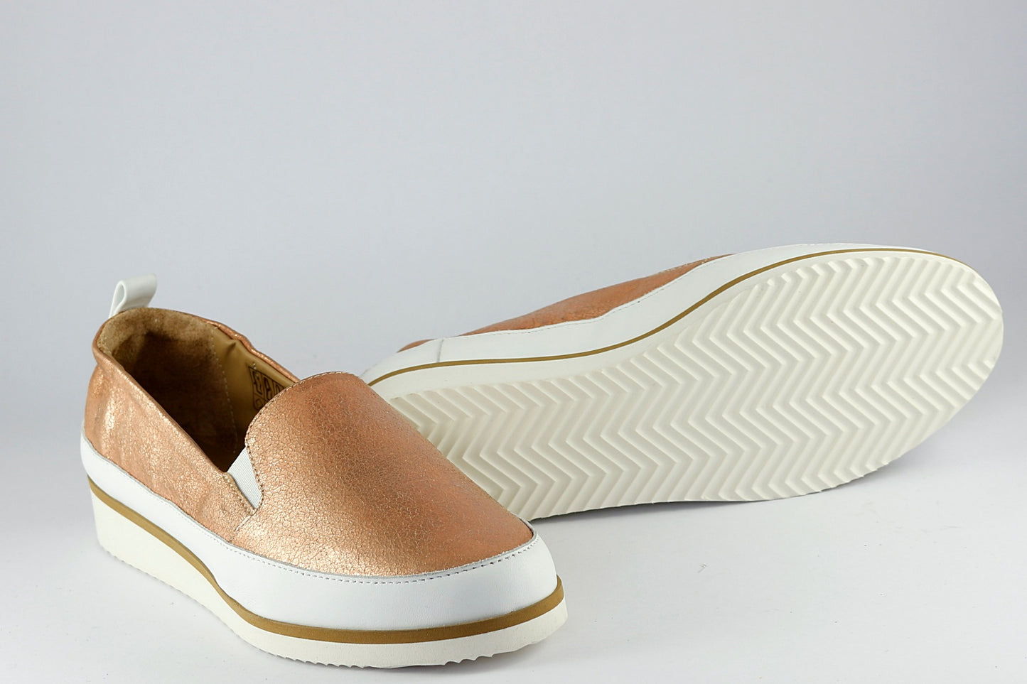 'Roma' in Champagne Rose