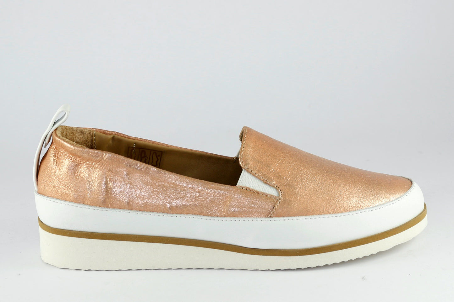 'Roma' in Champagne Rose