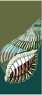 'Spiral Shell' in Green