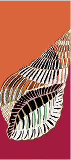 'Spiral Shell' in Dark Coral