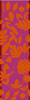 Rhapsody No. 5